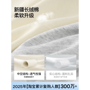 sw平角女士内裤四角纯棉档10a抗菌无痕女式夏薄款防走光包臀短裤