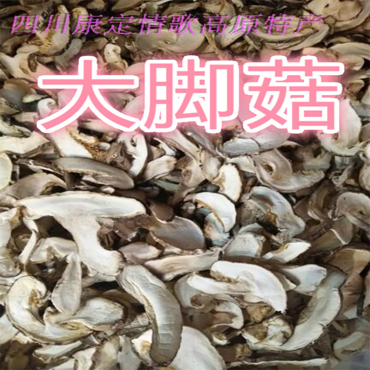 康定高原特产雪域珍品炖汤佳品野生大脚菇250g一袋