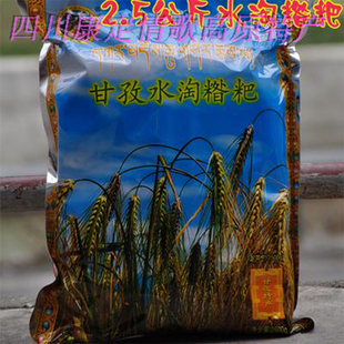 四川康定甘孜水淘糌粑熟粉一袋2.5KG