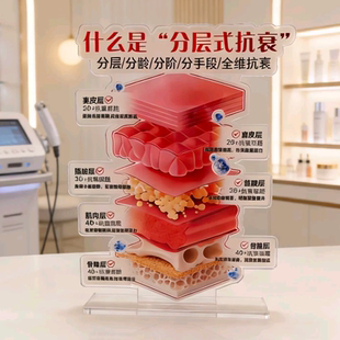 美容分层抗衰肌肤结构亚克力医学皮肤解剖知识讲解繁体毛囊头发皮