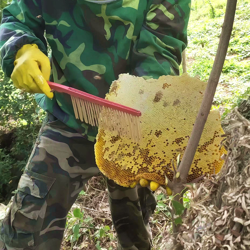 正宗土蜂蜜2斤湖北深山百花蜜结晶冬蜜农家自产深山纯正土蜂巢蜜