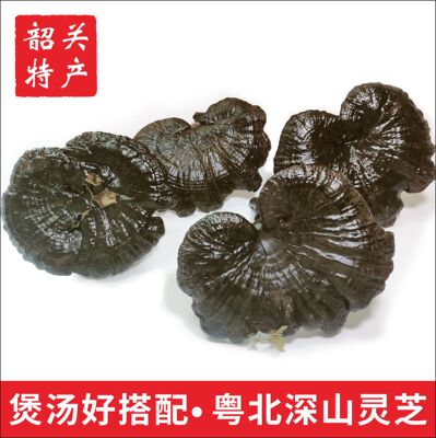 粤北特产日常滋补灵芝