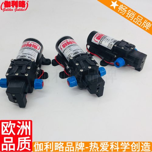 式增压自动喷雾隔膜压力洗车微型水直流真空自吸隔膜高压泵 伽陆