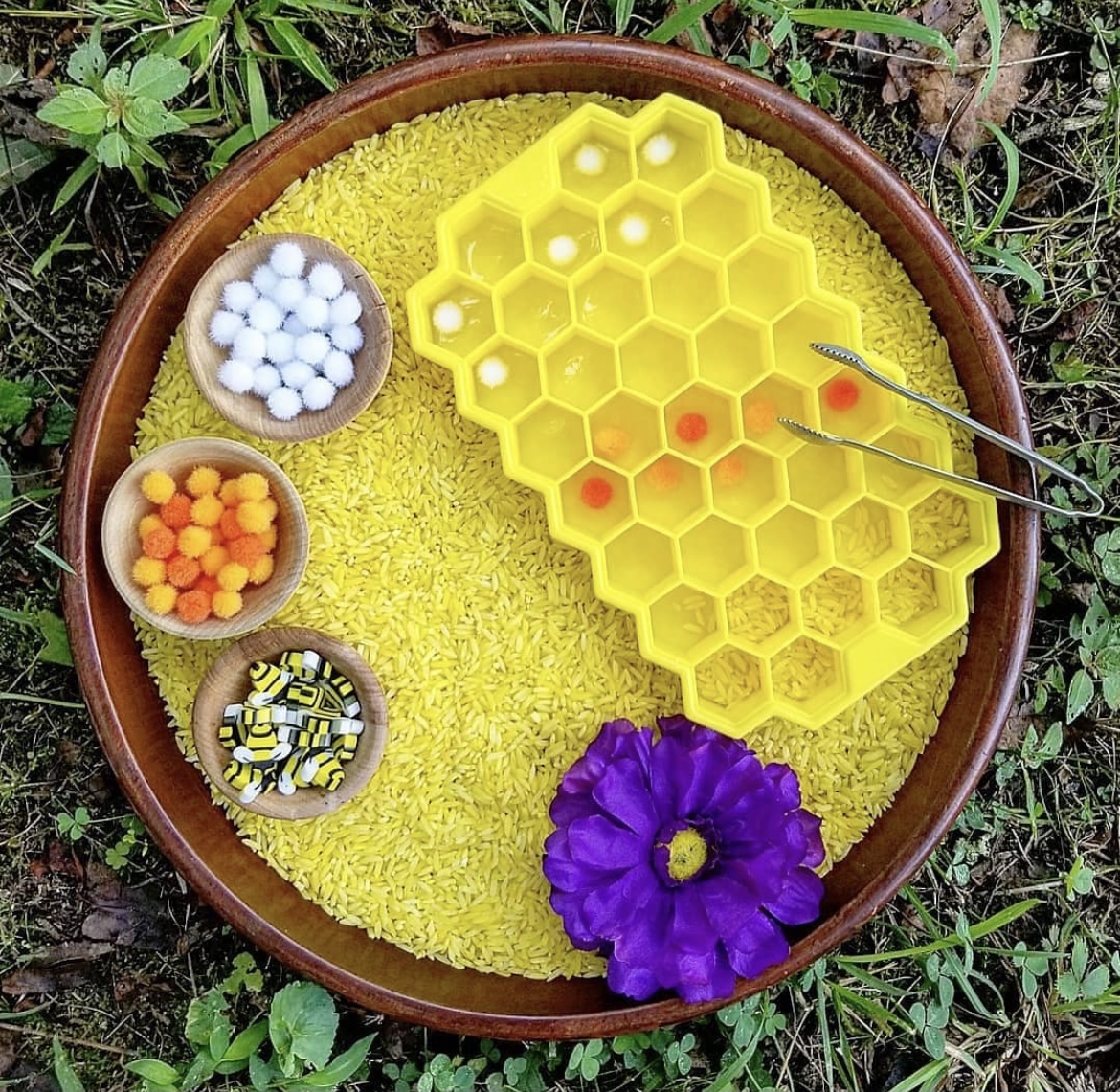 感官探索工具分隔高质量