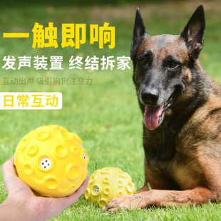 狗狗玩具怪叫发声球中大型犬泰迪金毛狗磨牙耐咬洁齿发声宠物玩具