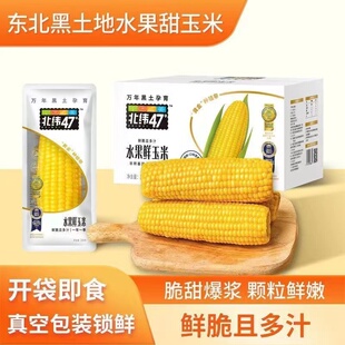 北纬47度水果玉米黄糯白糯黑糯玉米东北玉米非转基因粗粮代餐早餐