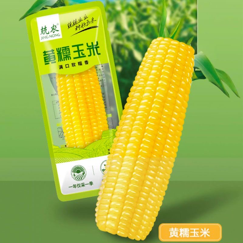 兢农东北黑龙江黄糯玉米200g白糯黄糯黑糯玉米甜糯粘玉米早餐代餐