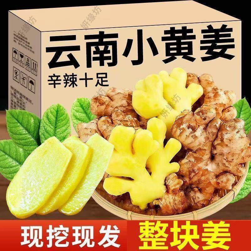 正宗云南小黄姜高山生姜月子姜老姜饭店专供辛辣十足十斤装特惠