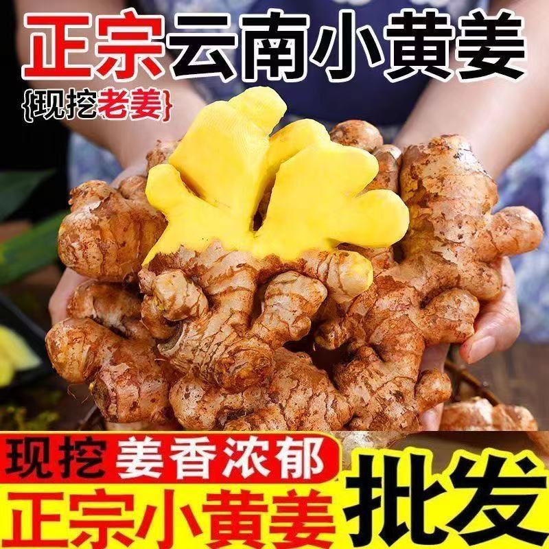 云南黄姜老姜现挖月子小黄姜农家自种鲜姜姜母块整箱蔬菜批量批发