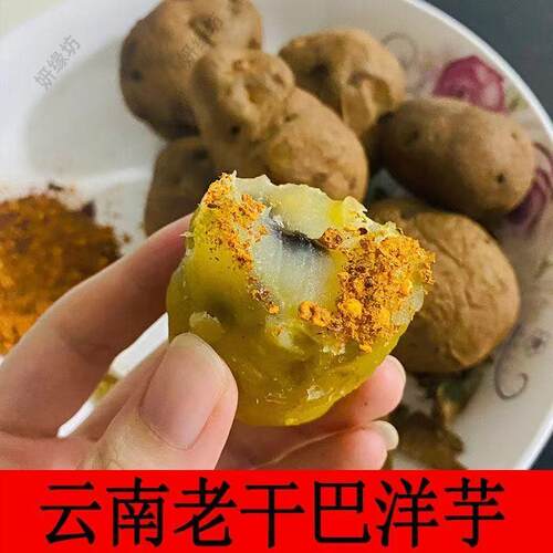 憨包土豆山东黄心抽吧干巴洋芋老品种奄瘪老土豆腌巴洋芋老洋芋甜