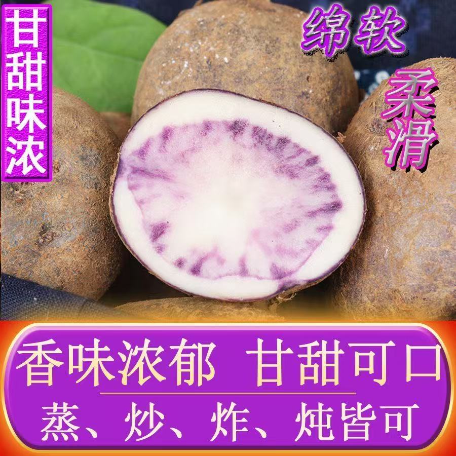 乌洋芋紫皮土豆新鲜乌洋芋七彩土豆马铃薯应季贵州特产六盘水四格
