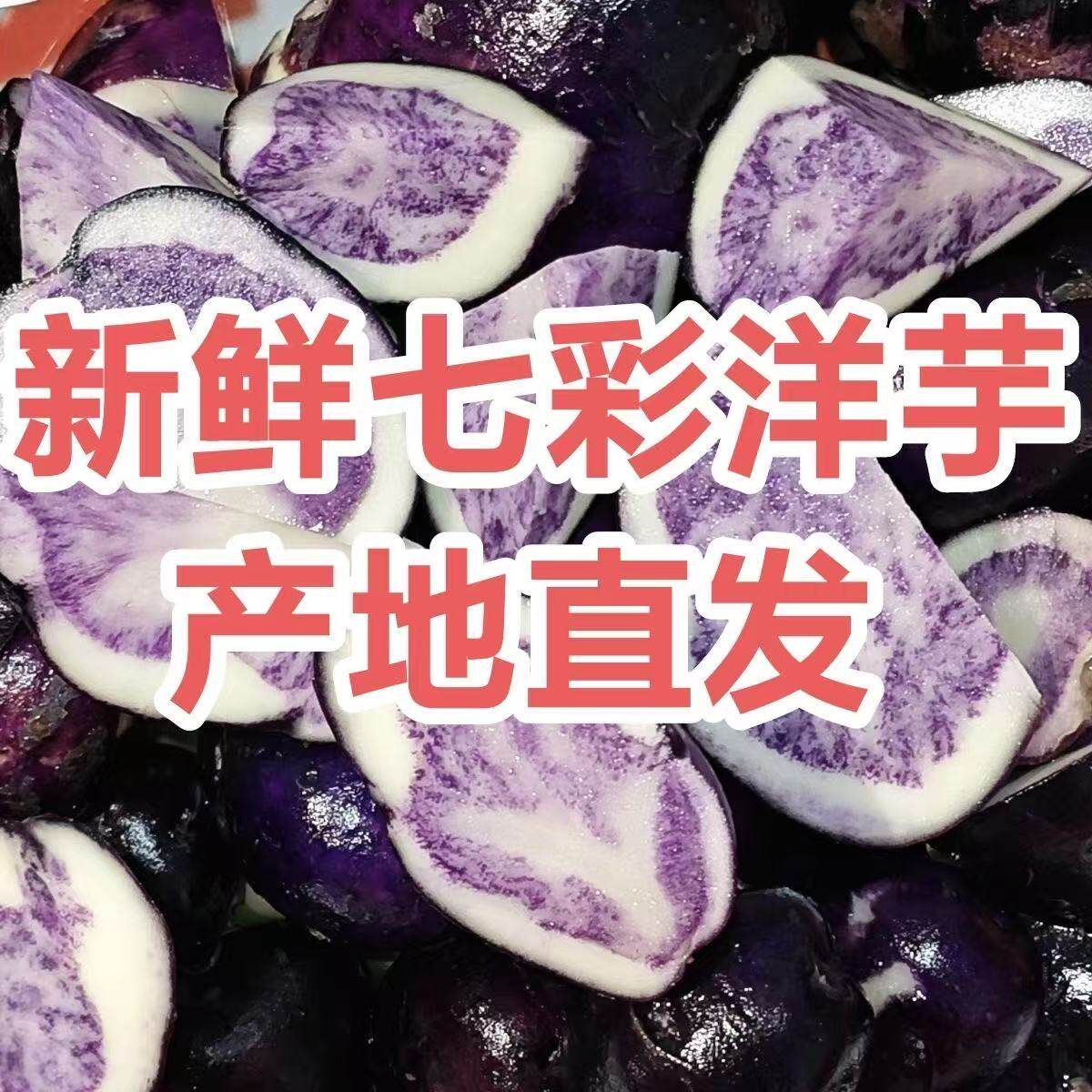 四格乌洋芋紫皮土豆新鲜乌洋芋七彩土豆马铃薯应季贵州特产六盘水