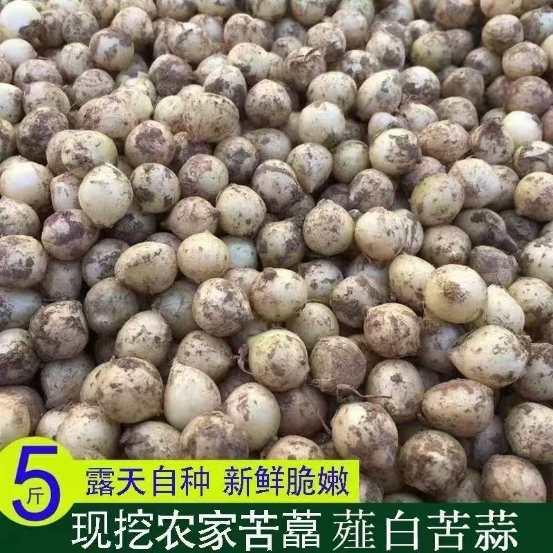 重庆农家秘制苦藠小根蒜团葱野葱头薤白小蒜头10斤包邮