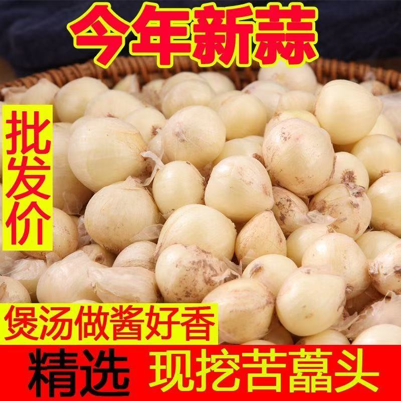 四川苦藠新鲜薤白小根蒜苦芥山葱野葱头农家苦茭团葱500g