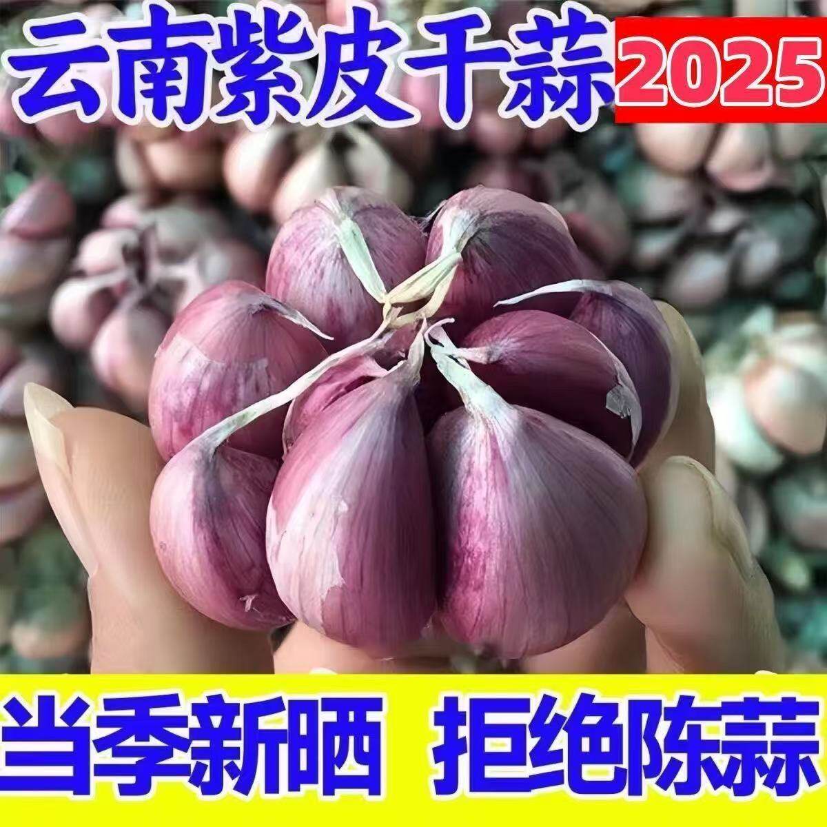 2025年云南紫皮大蒜新晒干蒜头5斤包邮红皮多瓣香蒜农家特产