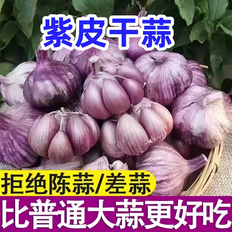 新干蒜大理高山紫皮大蒜云南干蒜新蒜2026大蒜头红蒜香蒜香辣多汁