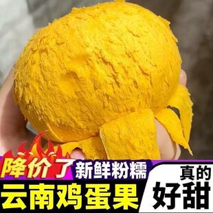 云南果农直供大果鸡蛋果稀有蛋黄果当季生鲜水果新鲜非海南现摘