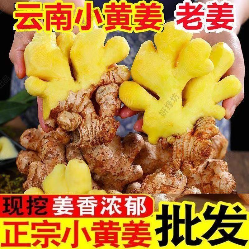 正宗农家小黄姜云南现挖老姜黄姜月子姜鲜嫩蔬菜整箱产地货源批发