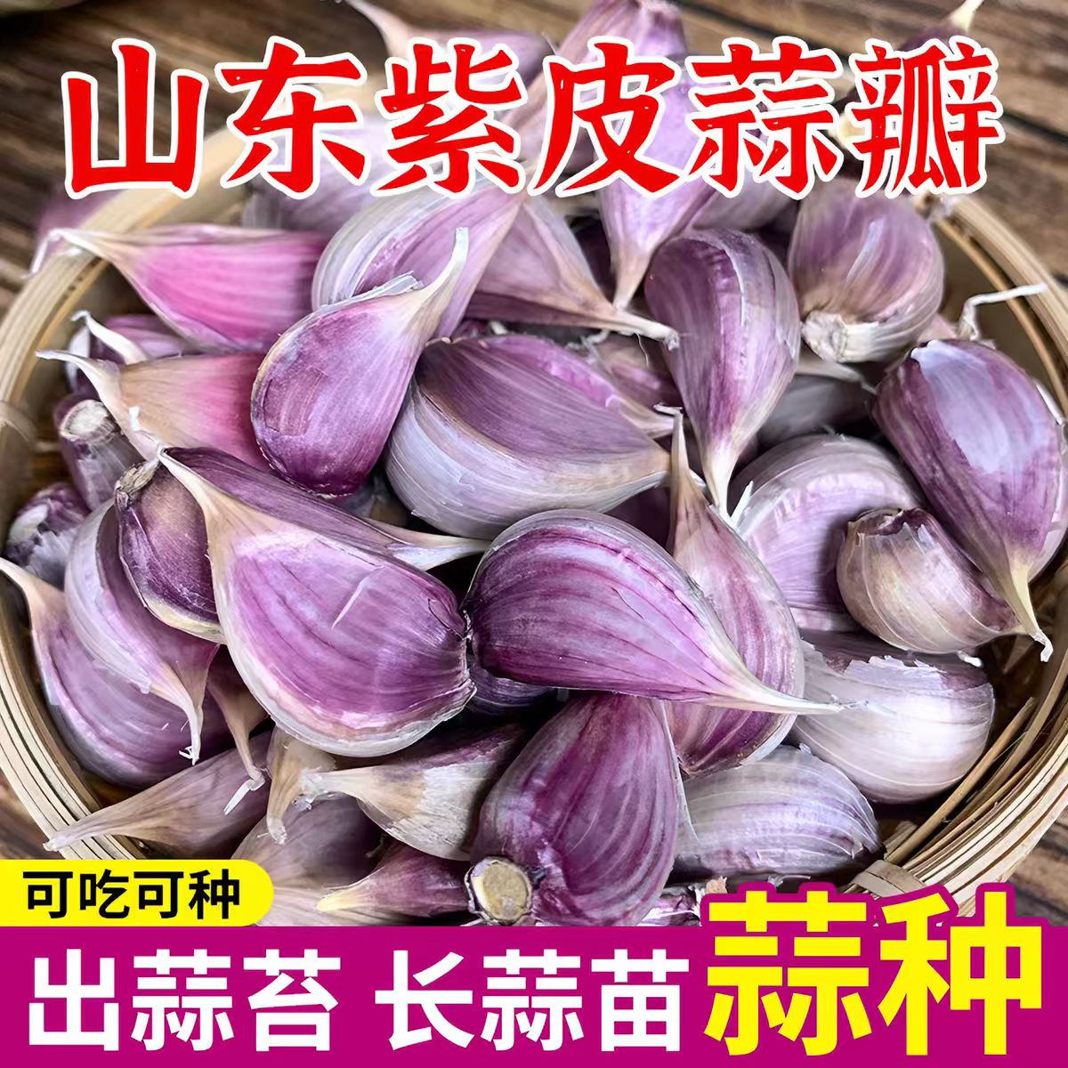 金乡新鲜红根香蒜种子紫皮蒜种蒜苔红头葱硬叶蒜四季蒜苗专用蒜瓣