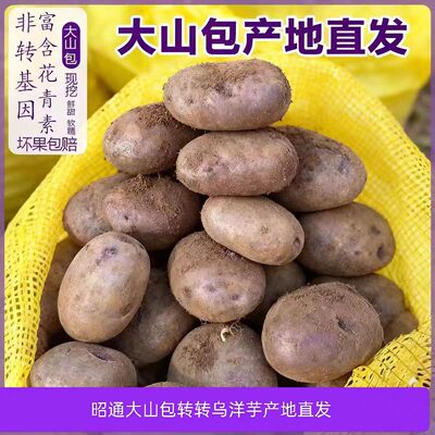 云南昭通大山包乌洋芋老品种黑皮豆新鲜紫色马铃薯紫皮土豆花青素
