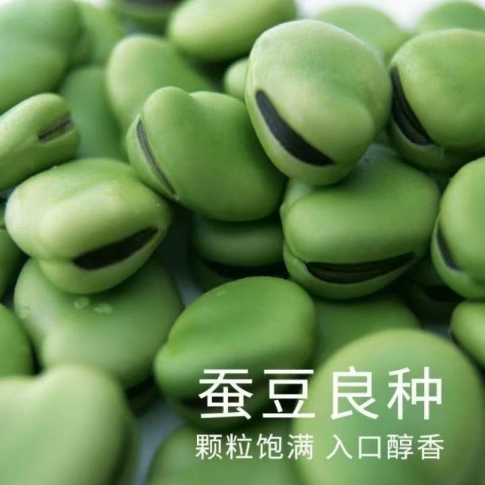 绿皮干蚕豆新货农家自种新鲜干胡豆生蚕豆罗汉豆做油炸包邮