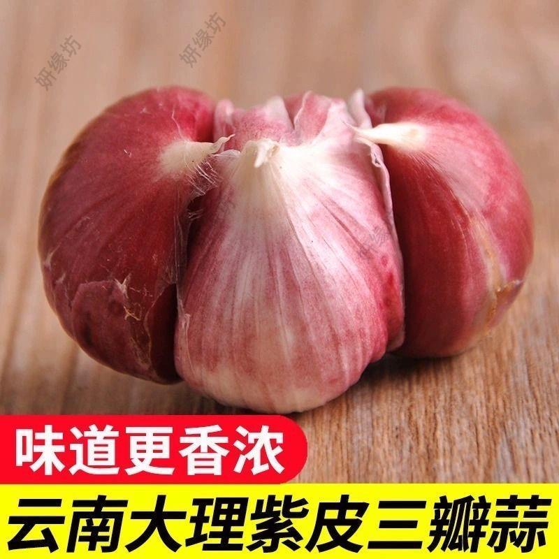 三丫蒜干蒜头2026年三瓣蒜紫皮大蒜头新鲜特价瓣蒜5斤装干蒜头