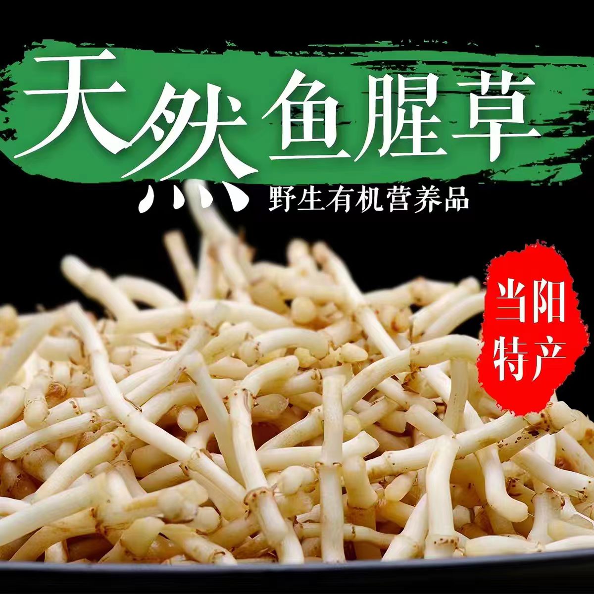 湖北新鲜折耳根鱼腥草带泥不洗
