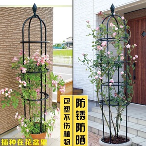新品加粗16mm铁线莲藤本月季架子园艺支架藤本月季爬藤植物花支架