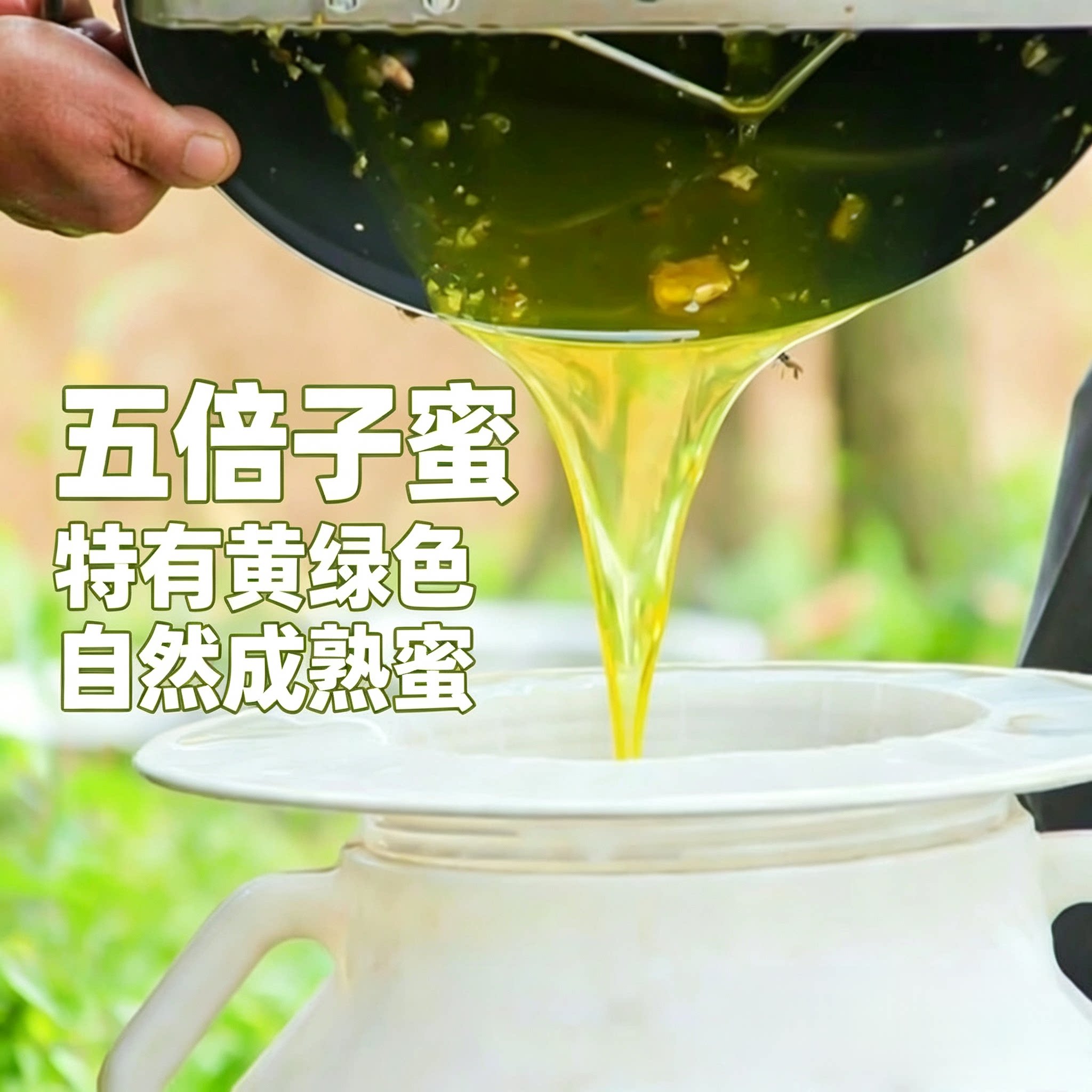 五倍子蜜稀少中药材蜜源 绿蜜 药香浓郁农家自产自销天然结晶蜂蜜