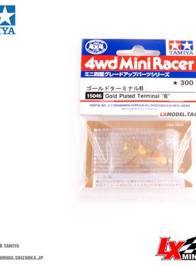 原装正品田宫四驱车改装配件SFM FM TZ TZX底盘镀金导电片15046