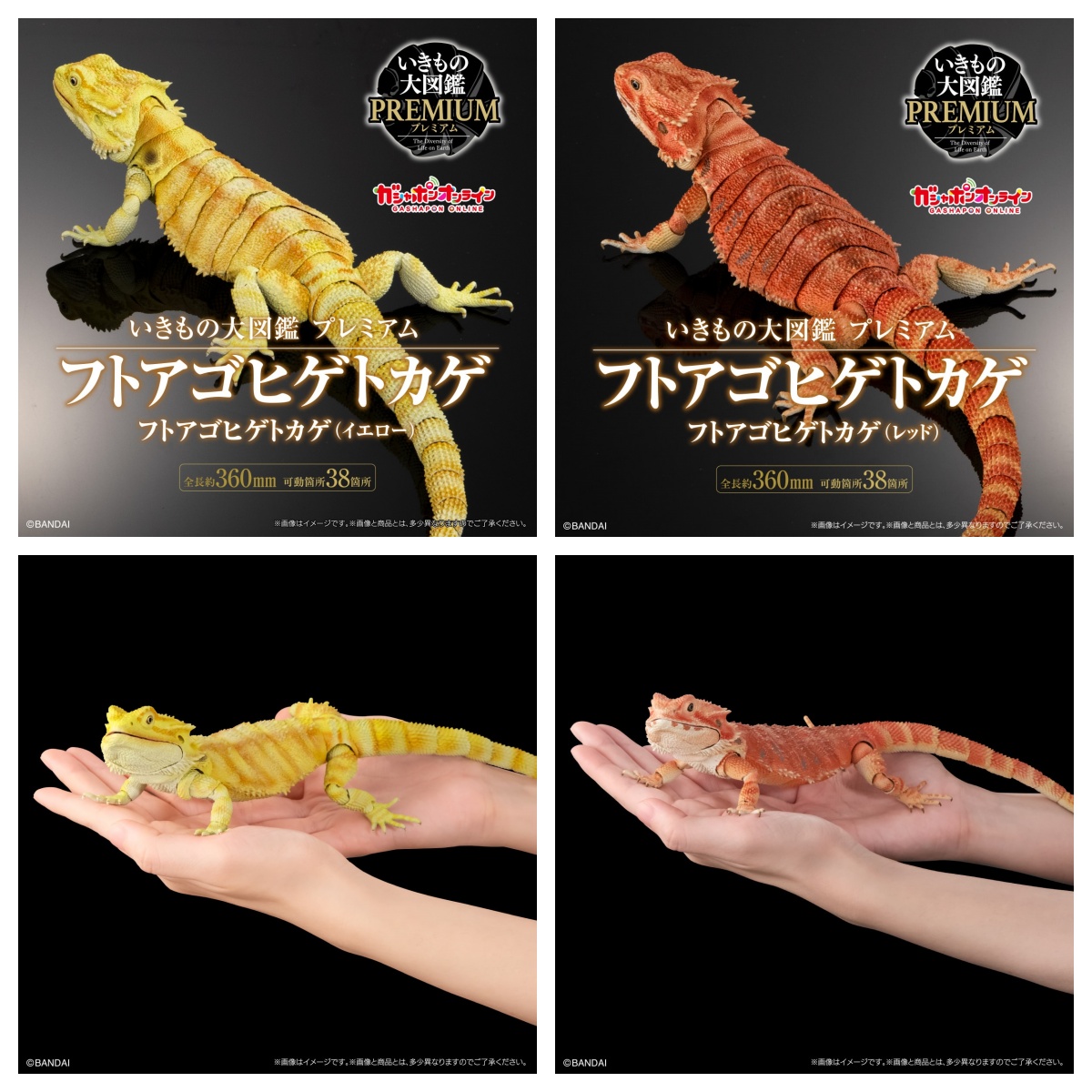 生物大图鉴PREMIUM鬃狮蜥红黄