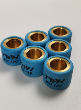 TWH改装普利珠SYM三阳火凤凰FNX JP150小钢炮GR125光阳GP110 GY6