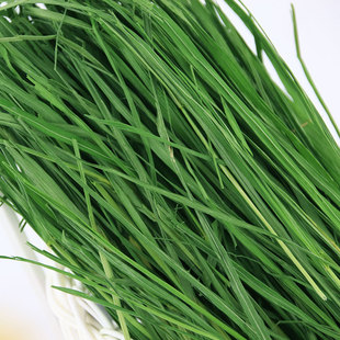 包邮2025烘干黑麦草兔子干草牧草龙猫豚鼠代替提摩西草苜蓿草