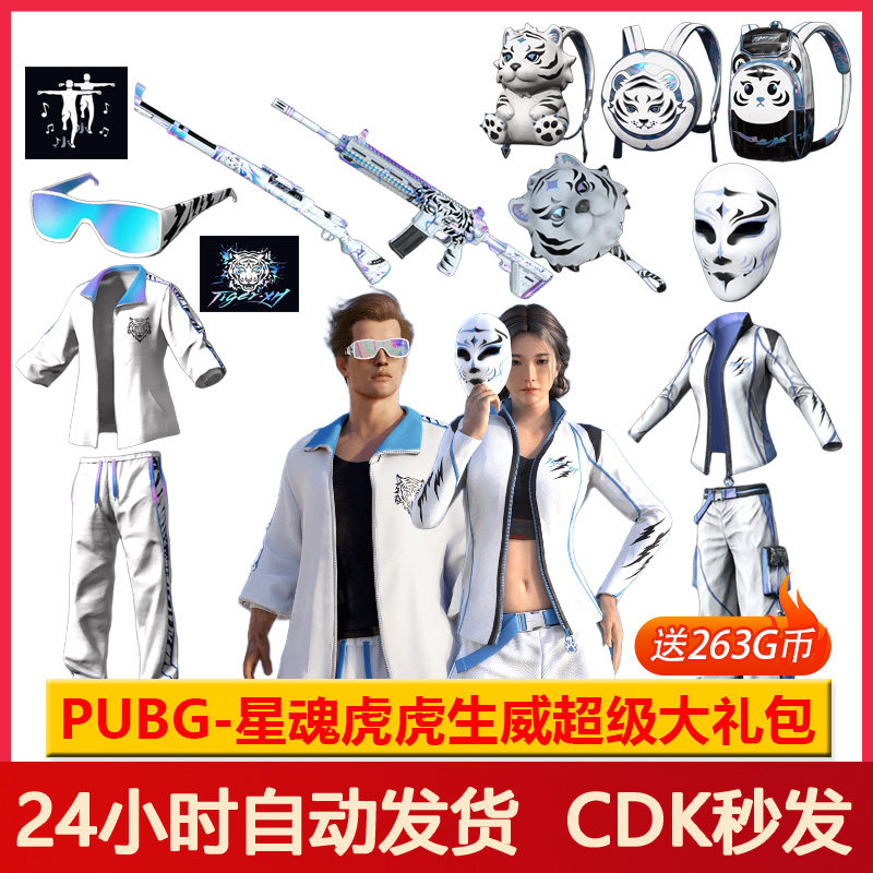 Pubg皮肤绝地求生星魂大礼包白运动衣服裤子吃鸡滑雪镜兑换码CD