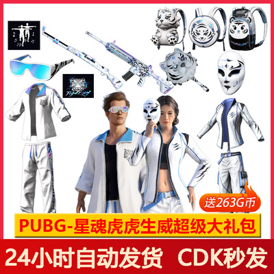 Pubg皮肤绝地求生星魂大礼包CDK