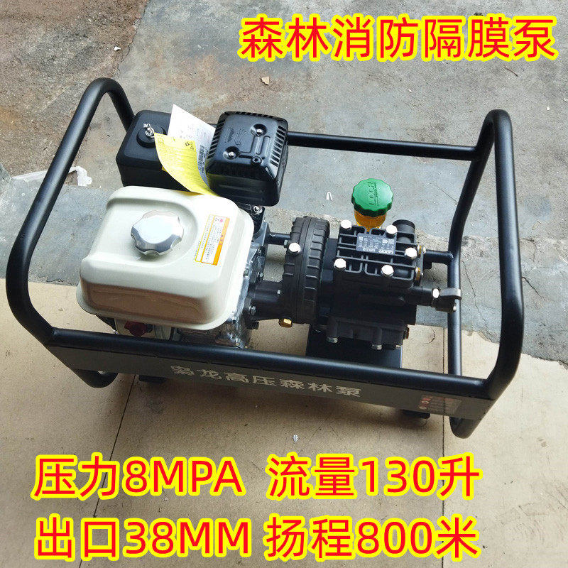 高压高扬程800米森林消防隔膜泵
