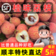 老树奉仙进 包邮 桂味荔枝新鲜广东糍糯米笑妃子5 10斤现摘现发顺丰
