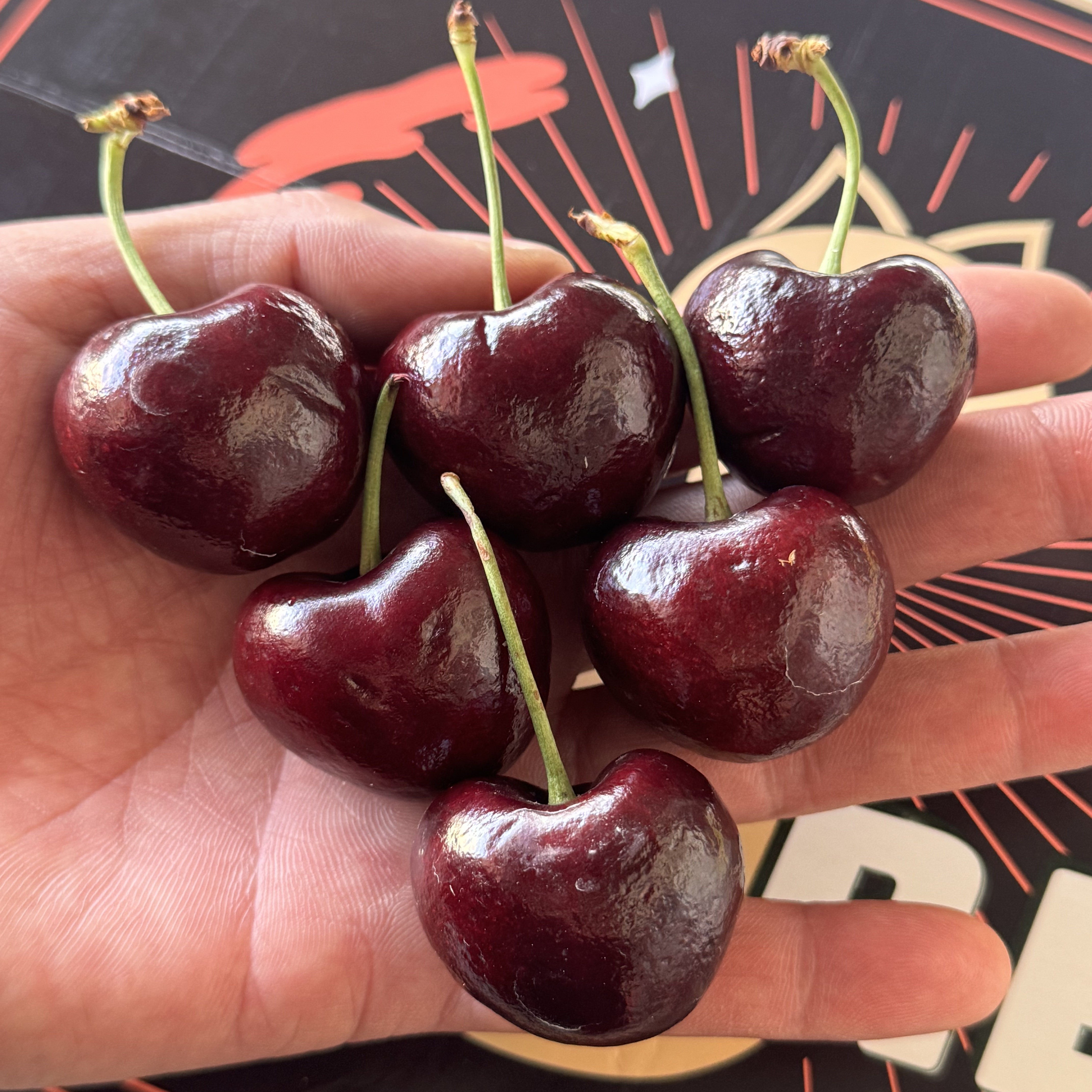 智利海运新鲜车厘子santina桑提娜智利五斤礼盒装4JDD5斤当季水果