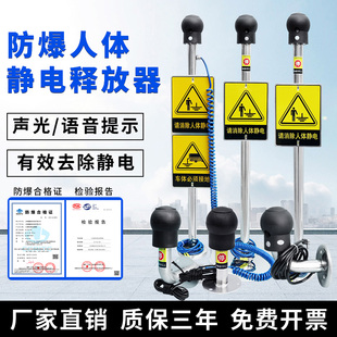 防爆工业人体静电释放器触摸式 置 静电消除仪球柱声光语音报警装