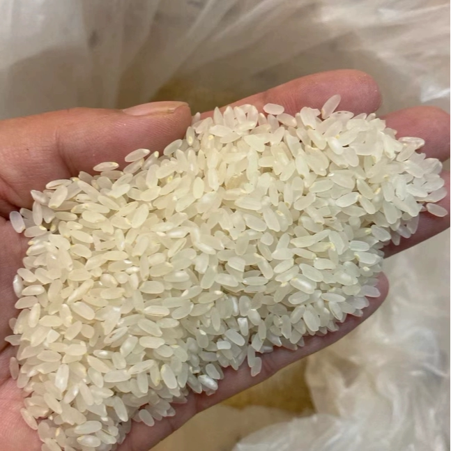 新米农家老品种有机胚芽米专用大米粥米婴幼儿辅食