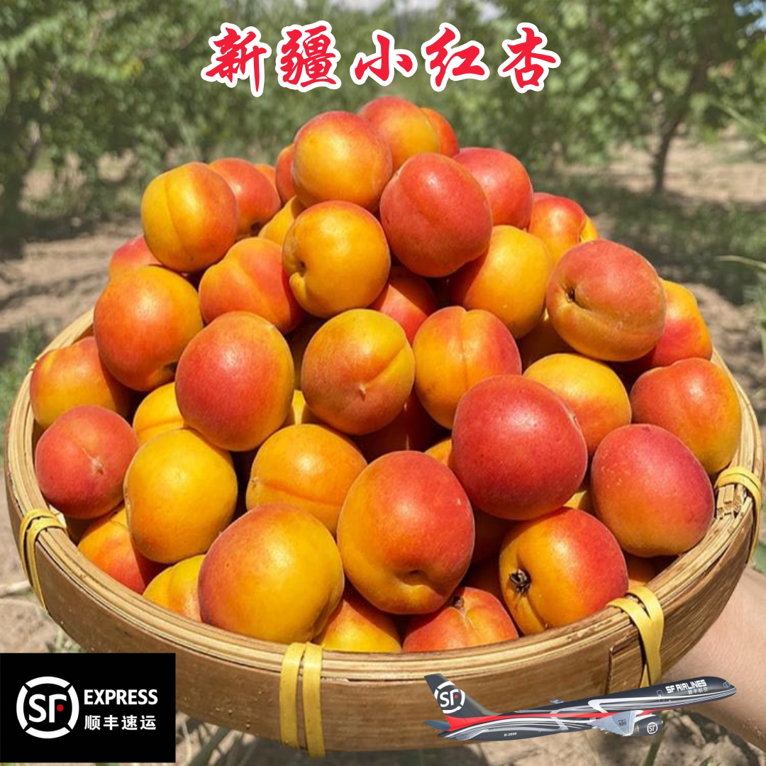 新疆小红杏吊干鲜杏空运包邮