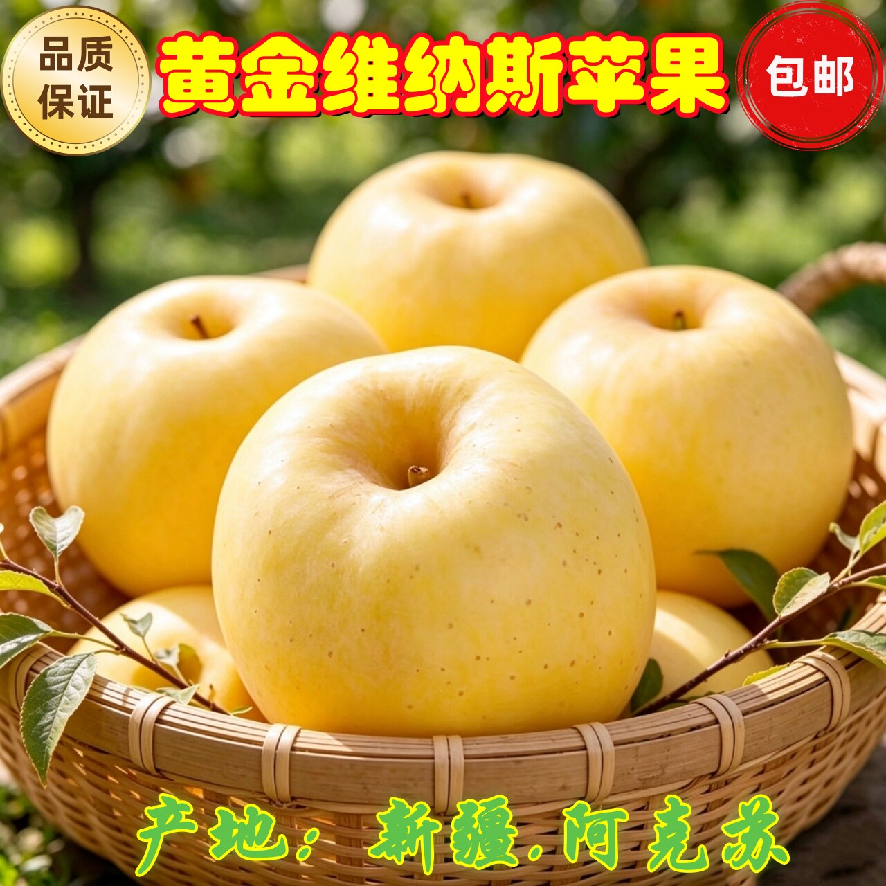 新疆阿克苏黄金维纳斯苹果