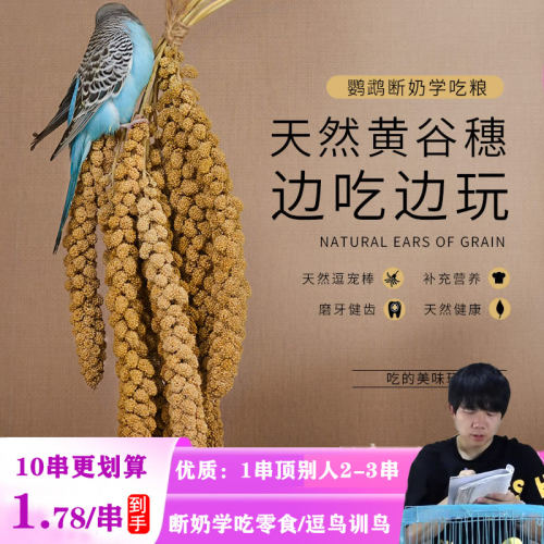 鹦鹉断奶学吃逗鸟零食玄凤专用粮