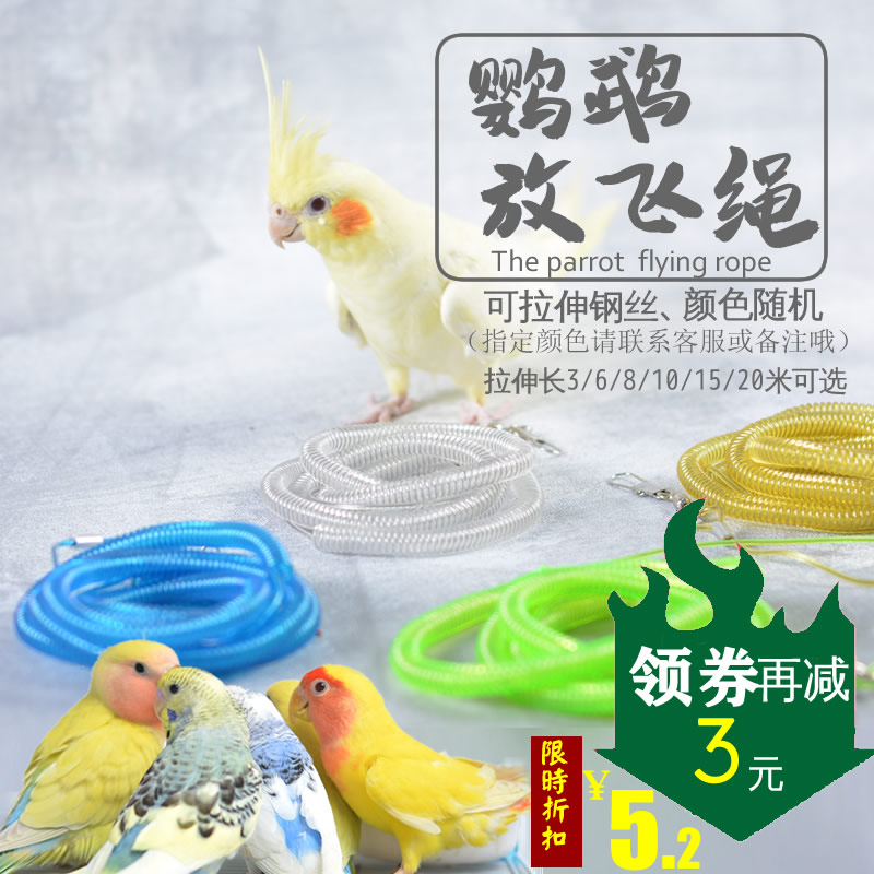 鹦鹉放飞外出牵引绳子虎皮牡丹绳