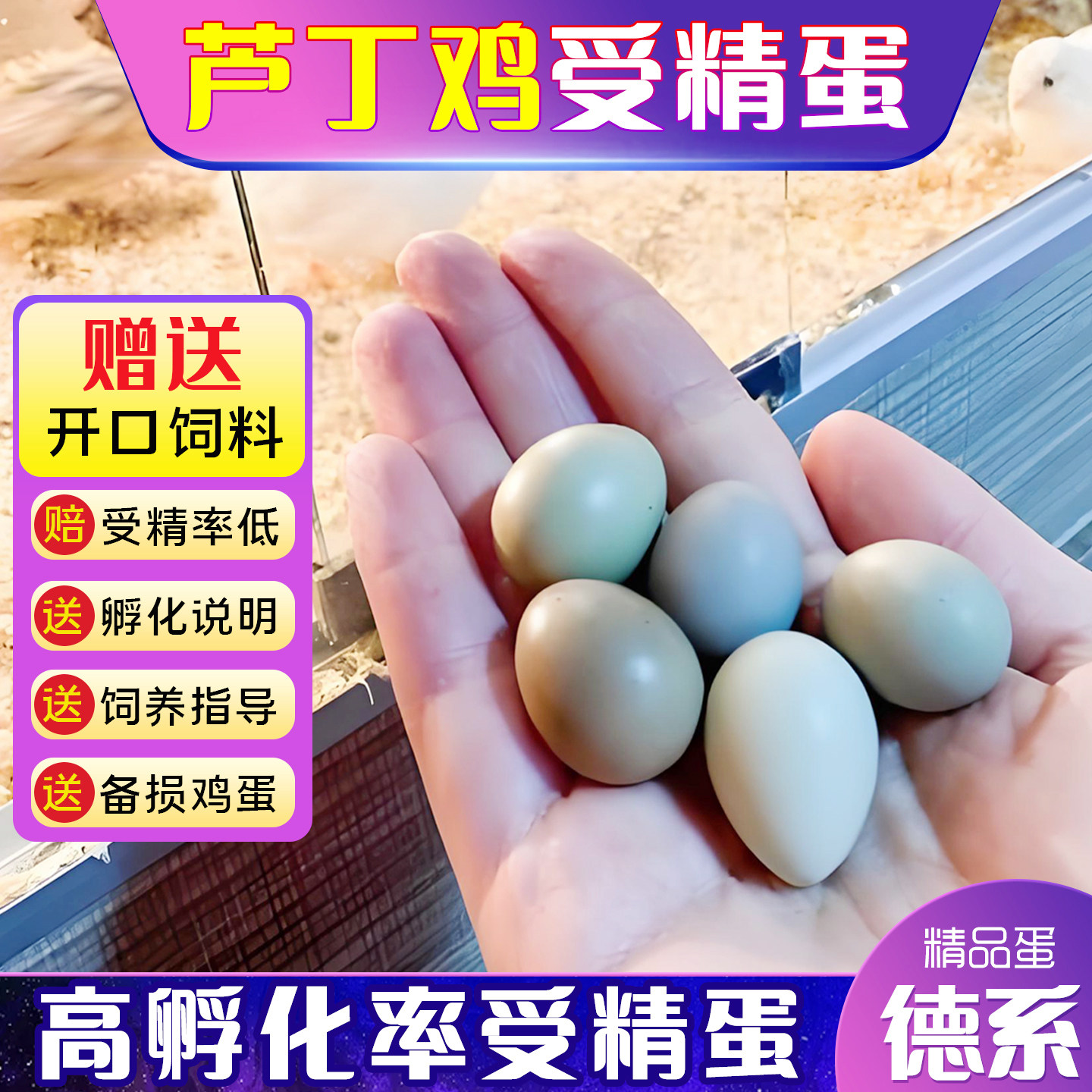 芦丁鸡受精蛋可孵化白色瓦灰鸟蛋卢丁鸡黑白礼服宠物德系网红小鸡,宠物/宠物食品及用品,宠物鸡,淘宝优惠券,粉丝福利购,淘宝优惠卷