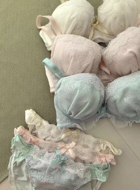 圆盘内衣Risa有钢圈聚拢甜美