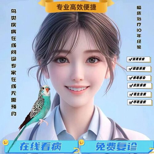 鹦鹉玄风各种鸟类资深医生问诊在线治疗诊断及指导用药如何饲养