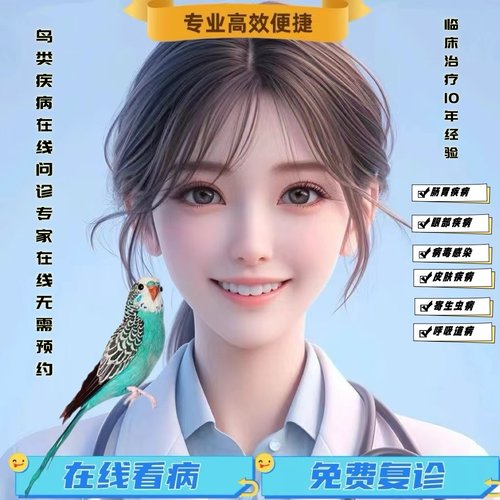 鹦鹉看病鸟病问诊执业兽医在线诊疗语音连接！