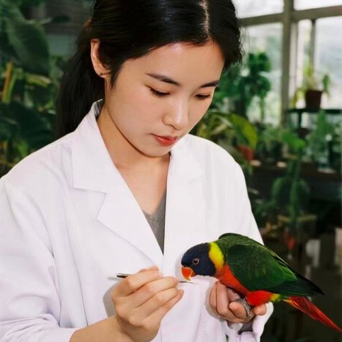 吸蜜鹦鹉在线咨询专业兽医经验丰富！