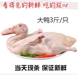 现杀新鲜白条鸭冷冻鸭肉冰冻整鸭1500g非老宜良烤鸭云南省4人份